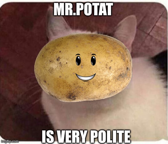 Mr.Potat | MR.POTAT; IS VERY POLITE | image tagged in potato | made w/ Imgflip meme maker