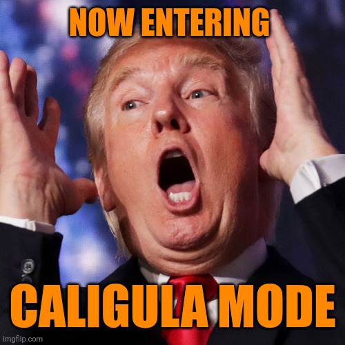 The Adolf Hitler of stupid | NOW ENTERING; CALIGULA MODE | image tagged in trump lies,crazy trump,insanity,qanon,meltdown,this is it | made w/ Imgflip meme maker