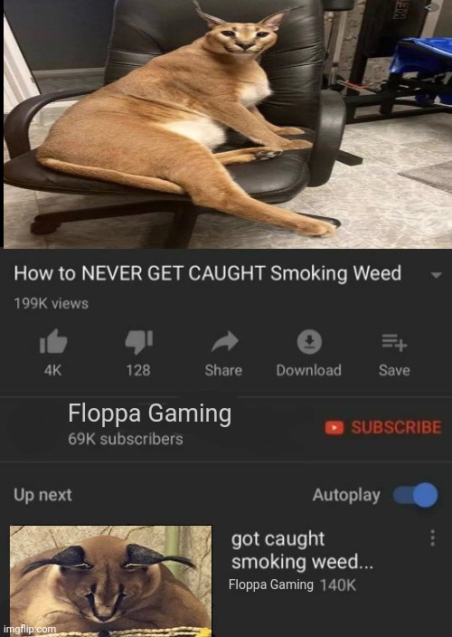How to NEVER GET CAUGHT Smoking Weed / got caught smoking weed.. | Floppa Gaming; Floppa Gaming | image tagged in how to never get caught smoking weed / got caught smoking weed | made w/ Imgflip meme maker