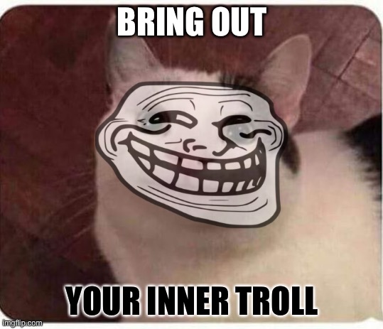 Polite Cat | BRING OUT; YOUR INNER TROLL | image tagged in polite cat | made w/ Imgflip meme maker