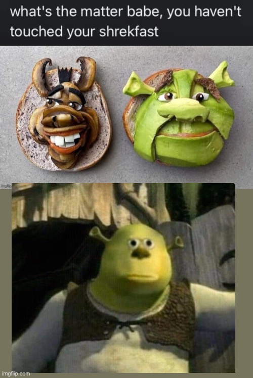 Shrunch? SHRUPPER? | image tagged in shrek,shrek is love,shrek is life | made w/ Imgflip meme maker