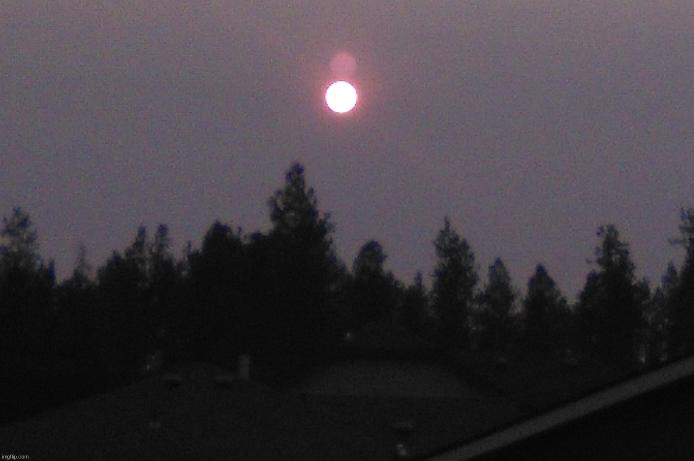 Hard to get but the sun was really red from the smoke in the sky. | image tagged in sunset | made w/ Imgflip meme maker