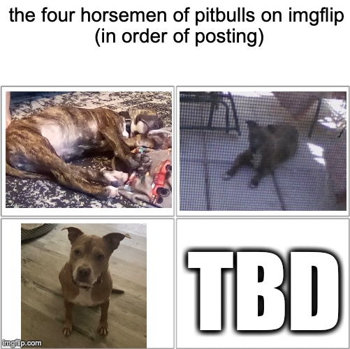 4 horse men | the four horsemen of pitbulls on imgflip
 (in order of posting); TBD | image tagged in 4 horse men | made w/ Imgflip meme maker