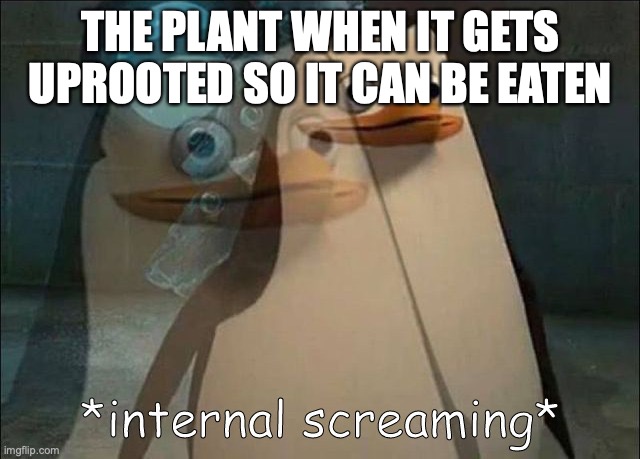 Reason why vegans like plants is that plants don't scream | THE PLANT WHEN IT GETS UPROOTED SO IT CAN BE EATEN | image tagged in private internal screaming | made w/ Imgflip meme maker