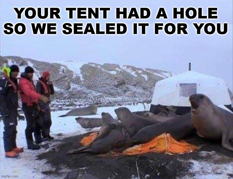 YOUR TENT HAD A HOLE SO WE SEALED IT FOR YOU | image tagged in eye roll | made w/ Imgflip meme maker
