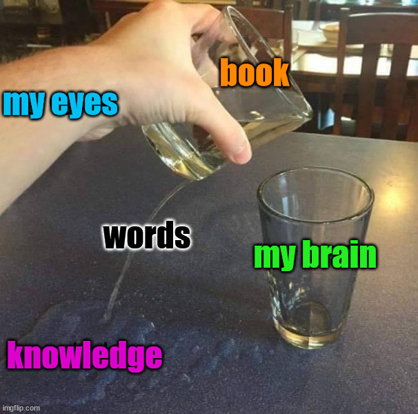 Nothing seems to get to the brain pan | book; my eyes; words; my brain; knowledge | image tagged in understanding,brain,dummy | made w/ Imgflip meme maker