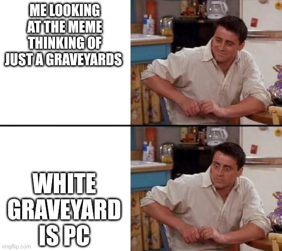Surprised Joey | ME LOOKING AT THE MEME THINKING OF JUST A GRAVEYARDS WHITE GRAVEYARD IS PC | image tagged in surprised joey | made w/ Imgflip meme maker