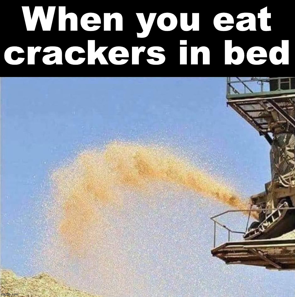 Never eat crackers in bed, the crumbs go everywhere | When you eat crackers in bed | image tagged in crackers | made w/ Imgflip meme maker