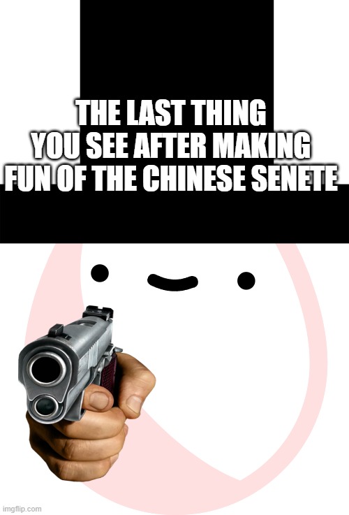 the last thing you see | THE LAST THING YOU SEE AFTER MAKING FUN OF THE CHINESE SENETE | image tagged in china | made w/ Imgflip meme maker