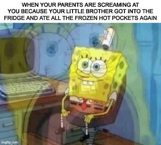 Internal screaming | WHEN YOUR PARENTS ARE SCREAMING AT YOU BECAUSE YOUR LITTLE BROTHER GOT INTO THE FRIDGE AND ATE ALL THE FROZEN HOT POCKETS AGAIN | image tagged in internal screaming | made w/ Imgflip meme maker