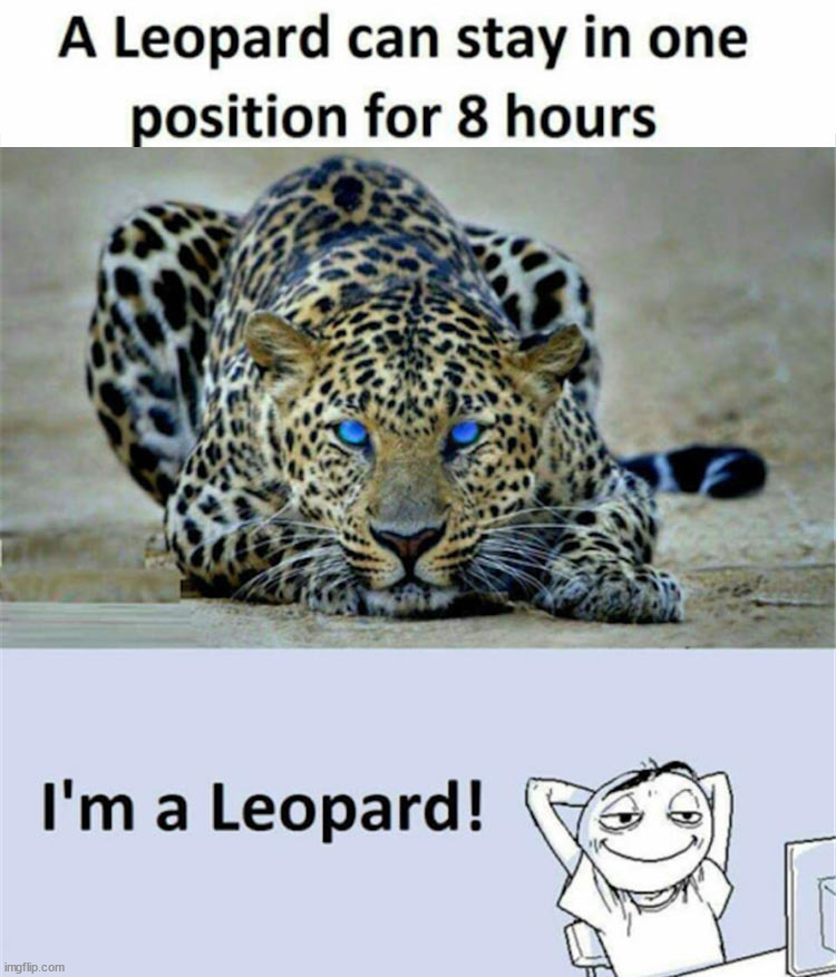 image tagged in leopard,and that's a fact | made w/ Imgflip meme maker