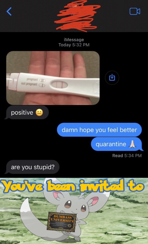 image tagged in funny,memes,human stupidity,pregnancy test,you've been invited to dumbass university | made w/ Imgflip meme maker