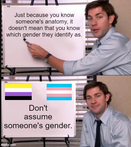 Try to never assume gender. |  Just because you know someone's anatomy, it doesn't mean that you know which gender they identify as. Don't assume someone's gender. | image tagged in jim halpert pointing to whiteboard,memes,non binary,transgender,gender identity,lgbtq | made w/ Imgflip meme maker