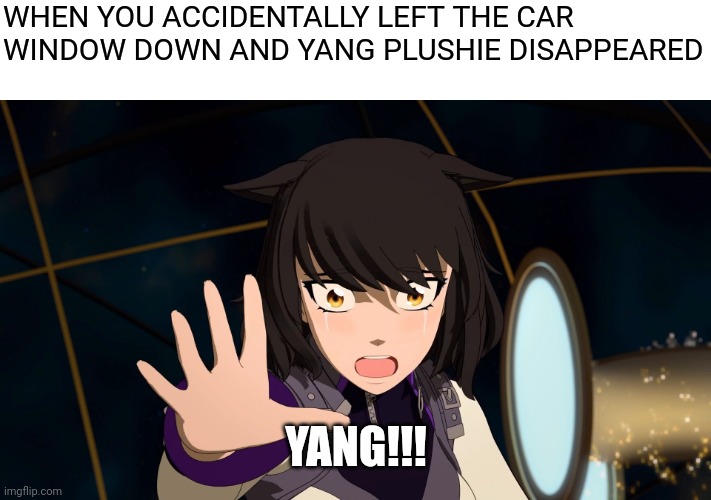 YANG!!! | WHEN YOU ACCIDENTALLY LEFT THE CAR WINDOW DOWN AND YANG PLUSHIE DISAPPEARED; YANG!!! | image tagged in yang,rwby,memes | made w/ Imgflip meme maker