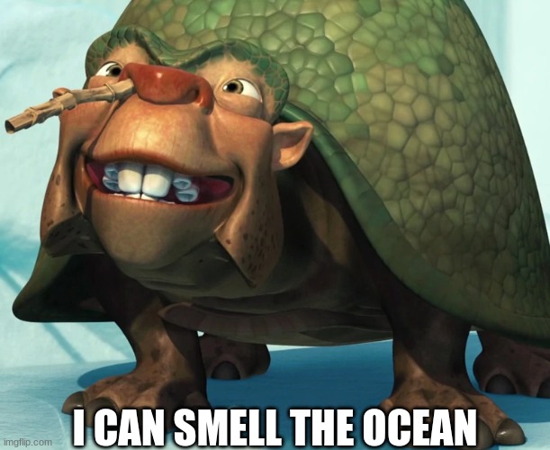 Stu | I CAN SMELL THE OCEAN | image tagged in stu | made w/ Imgflip meme maker