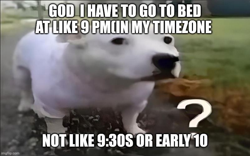 It's unfair for me since for me time goes faster than sonic | GOD  I HAVE TO GO TO BED AT LIKE 9 PM(IN MY TIMEZONE; NOT LIKE 9:30S OR EARLY 10 | image tagged in huh dog | made w/ Imgflip meme maker