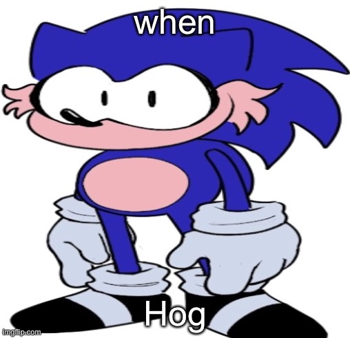 #hogsweep | when; Hog | image tagged in hogsweep | made w/ Imgflip meme maker
