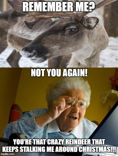 Grandma Got...Internet | image tagged in memes,grandma finds the internet,dark humor,christmas,humor,funny | made w/ Imgflip meme maker