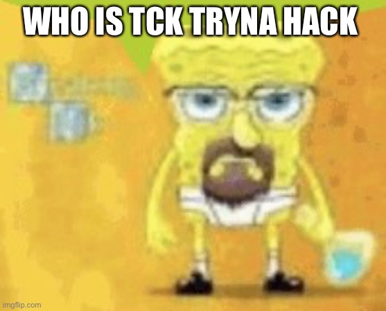 breaking bad spunchbop | WHO IS TCK TRYNA HACK | image tagged in breaking bad spunchbop | made w/ Imgflip meme maker