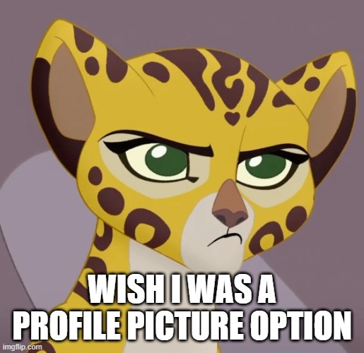 Annoyed Fuli | WISH I WAS A PROFILE PICTURE OPTION | image tagged in annoyed fuli | made w/ Imgflip meme maker