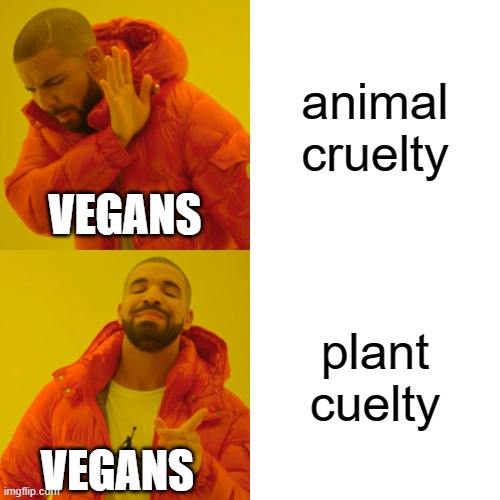 Vegan logic | animal cruelty; VEGANS; plant cuelty; VEGANS | image tagged in memes,drake hotline bling,vegan,funny memes | made w/ Imgflip meme maker