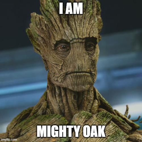 I am Groot | I AM; MIGHTY OAK | image tagged in i am groot | made w/ Imgflip meme maker