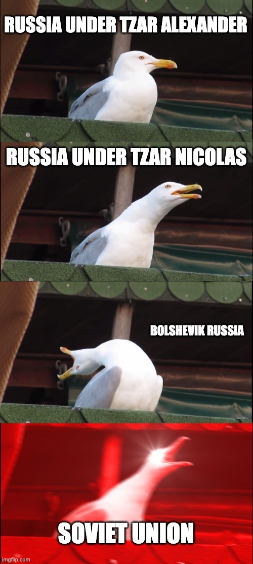 Inhaling Seagull Meme | RUSSIA UNDER TZAR ALEXANDER; RUSSIA UNDER TZAR NICOLAS; BOLSHEVIK RUSSIA; SOVIET UNION | image tagged in memes,inhaling seagull | made w/ Imgflip meme maker