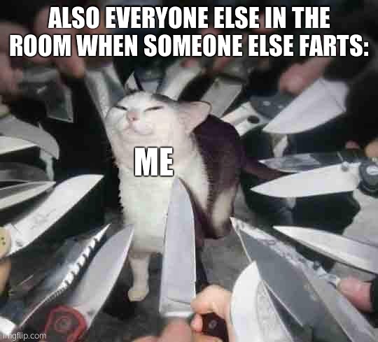Knife Cat | ALSO EVERYONE ELSE IN THE ROOM WHEN SOMEONE ELSE FARTS: ME | image tagged in knife cat | made w/ Imgflip meme maker