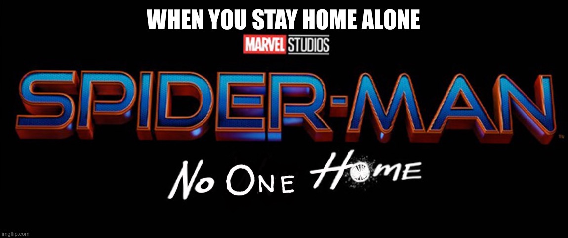 Spider-Man No One Home | WHEN YOU STAY HOME ALONE | image tagged in spider-man no one home | made w/ Imgflip meme maker