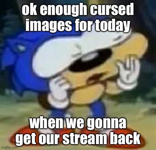 sonic huh? | ok enough cursed images for today; when we gonna get our stream back | image tagged in sonic huh,anti msmgsoc,siteflakes,anti sitemods,balls | made w/ Imgflip meme maker