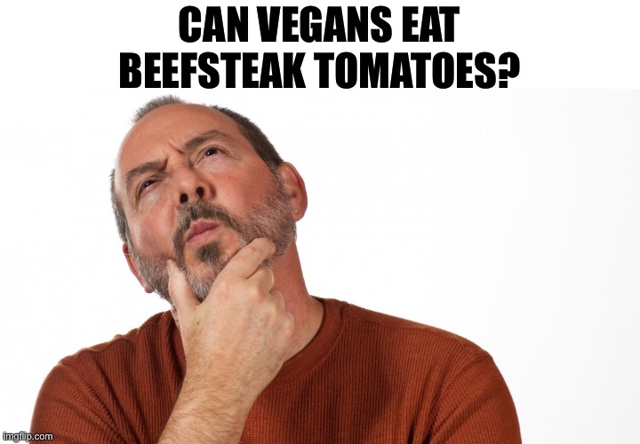 Vegan | CAN VEGANS EAT BEEFSTEAK TOMATOES? | image tagged in hmmm | made w/ Imgflip meme maker
