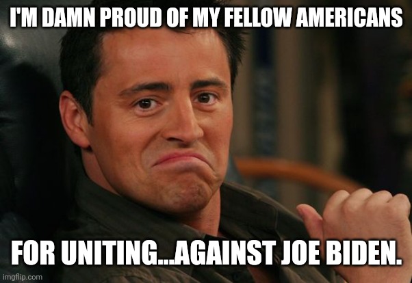 I'm feeling the unity. | I'M DAMN PROUD OF MY FELLOW AMERICANS; FOR UNITING...AGAINST JOE BIDEN. | image tagged in proud joey | made w/ Imgflip meme maker