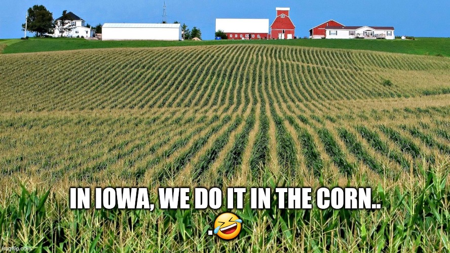 Corn humping | IN IOWA, WE DO IT IN THE CORN..
.🤣 | image tagged in iowa,farm | made w/ Imgflip meme maker