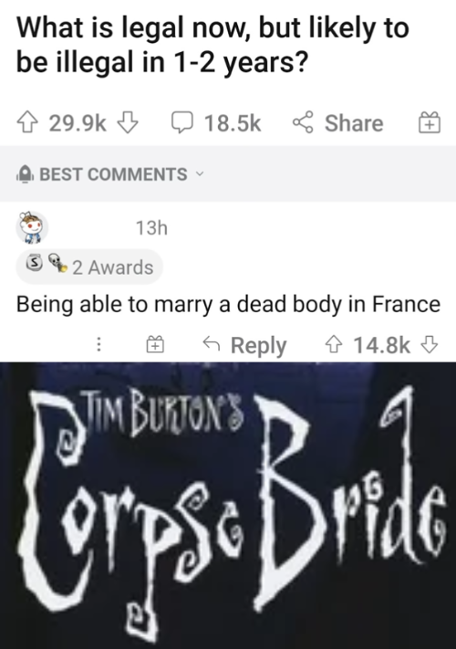 corpse bride irl Blank Meme Template