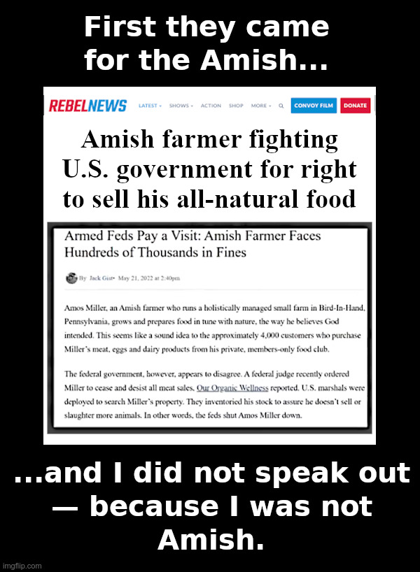 First they came for the Amish... | image tagged in big government,amish,organic,farmer,tucker carlson,martin niemoller | made w/ Imgflip meme maker