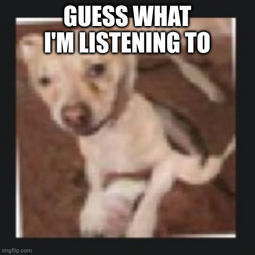 hint: WAAAAAAH | GUESS WHAT I'M LISTENING TO | image tagged in wank dog | made w/ Imgflip meme maker