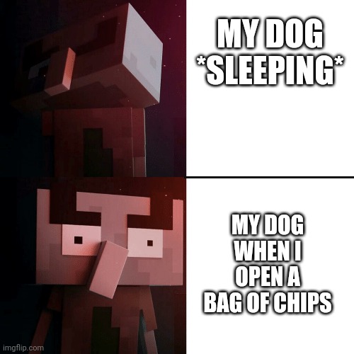 Drake Illager | MY DOG *SLEEPING*; MY DOG WHEN I OPEN A BAG OF CHIPS | image tagged in drake illager | made w/ Imgflip meme maker