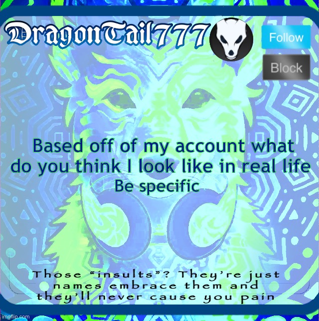 e | Based off of my account what do you think I look like in real life; Be specific | image tagged in dragontail777 template | made w/ Imgflip meme maker