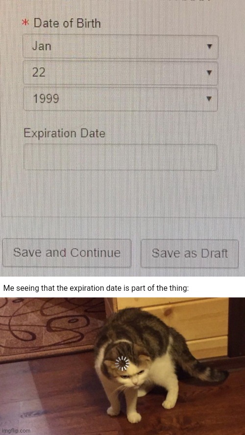 Expiration date | Me seeing that the expiration date is part of the thing: | image tagged in buffering cat,date of birth,expiration date,you had one job,memes,expire | made w/ Imgflip meme maker