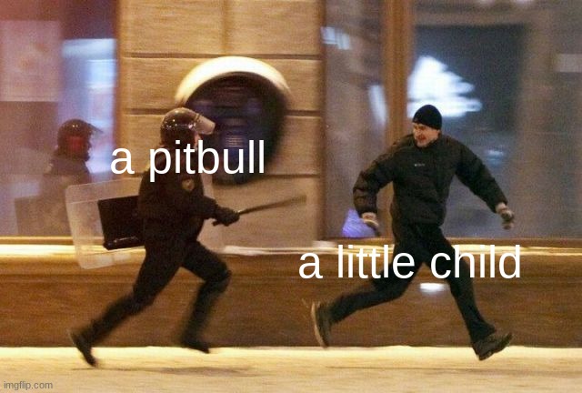 title | a pitbull; a little child | image tagged in police chasing guy,pitbull,oh wow are you actually reading these tags | made w/ Imgflip meme maker
