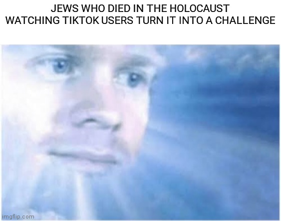 In heaven looking down | JEWS WHO DIED IN THE HOLOCAUST WATCHING TIKTOK USERS TURN IT INTO A CHALLENGE | image tagged in in heaven looking down | made w/ Imgflip meme maker