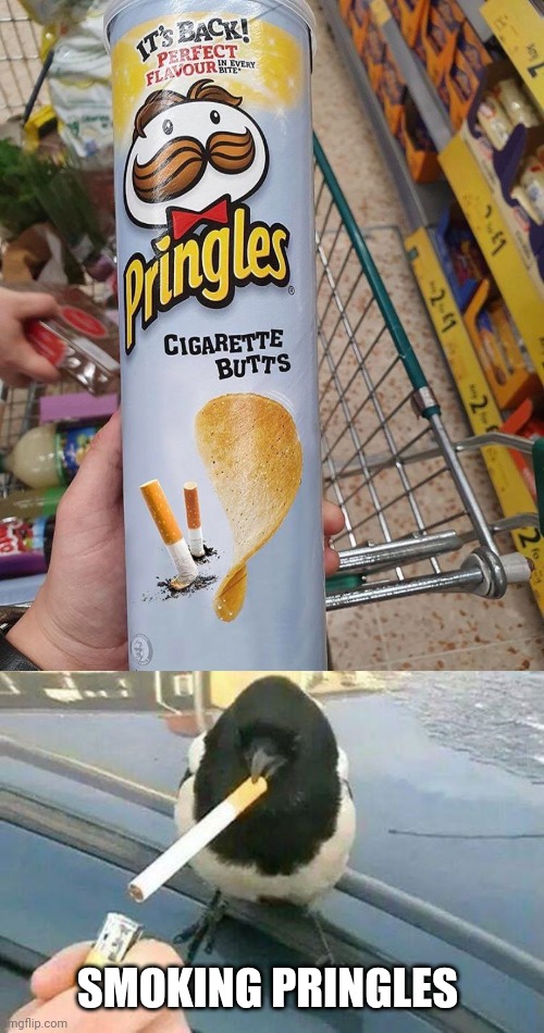 Smoking Pringles |  SMOKING PRINGLES | image tagged in bird smoking,cigarette,cigarettes,pringles,memes,tifflamemez | made w/ Imgflip meme maker