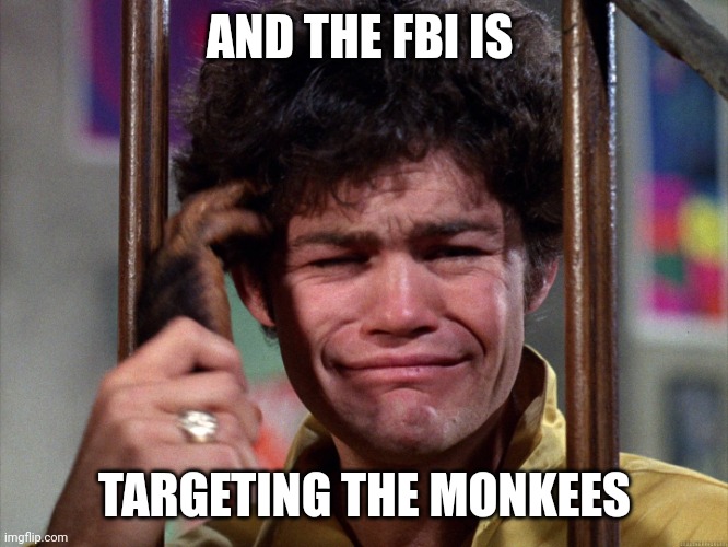sad Mickey Dolenz | AND THE FBI IS TARGETING THE MONKEES | image tagged in sad mickey dolenz | made w/ Imgflip meme maker