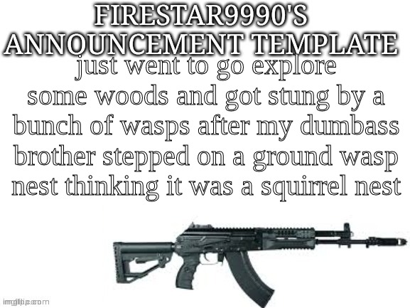 Firestar9990 announcement template (better) | just went to go explore some woods and got stung by a bunch of wasps after my dumbass brother stepped on a ground wasp nest thinking it was a squirrel nest | image tagged in firestar9990 announcement template better | made w/ Imgflip meme maker