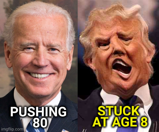 I'll go with the grownup. | PUSHING 
80; STUCK 
AT AGE 8 | image tagged in biden solid stable trump acid drugs,biden,adult,trump,child | made w/ Imgflip meme maker