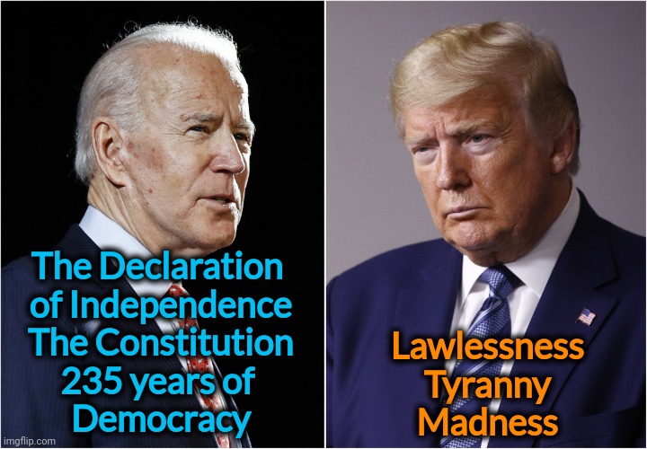 An easy choice for a patriot. | The Declaration 
of Independence
The Constitution
235 years of 
Democracy; Lawlessness
Tyranny
Madness | image tagged in biden / trump,biden,patriot,trump,fascist,maga | made w/ Imgflip meme maker