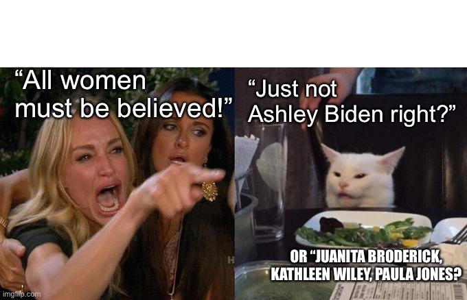 Woman Yelling At Cat Meme | “All women must be believed!”; “Just not Ashley Biden right?”; OR “JUANITA BRODERICK, KATHLEEN WILEY, PAULA JONES? | image tagged in memes,woman yelling at cat | made w/ Imgflip meme maker