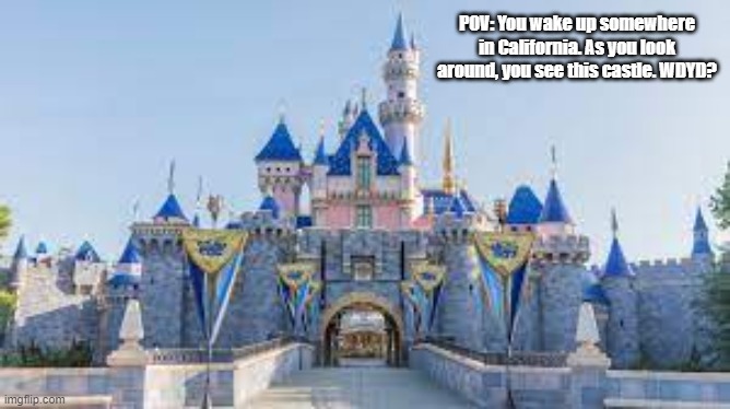 No joke, OP, or Bambi OCs. | POV: You wake up somewhere in California. As you look around, you see this castle. WDYD? | image tagged in disneyland,rp | made w/ Imgflip meme maker