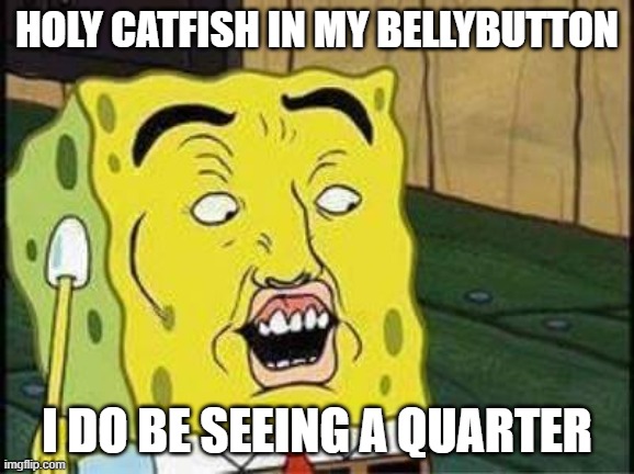 sponge bob bruh | HOLY CATFISH IN MY BELLYBUTTON; I DO BE SEEING A QUARTER | image tagged in sponge bob bruh | made w/ Imgflip meme maker