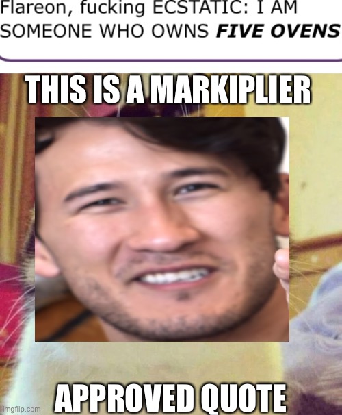 I am a MAN WHO OWNS FIVE F*ÇKĮÑG ŒVĘÑŠ!!! | THIS IS A MARKIPLIER; APPROVED QUOTE | image tagged in memes,smiling cat | made w/ Imgflip meme maker